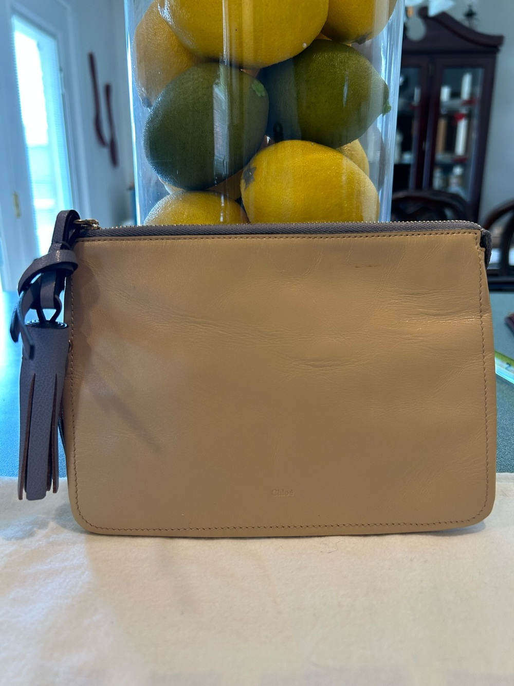 Chloé Medium Pouch / Zip Clutch